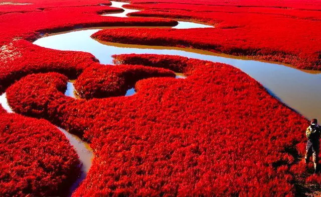 Red Beach China, 