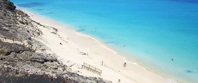 playas perros canarias