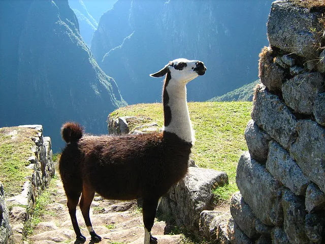 Historia de Machu Picchu