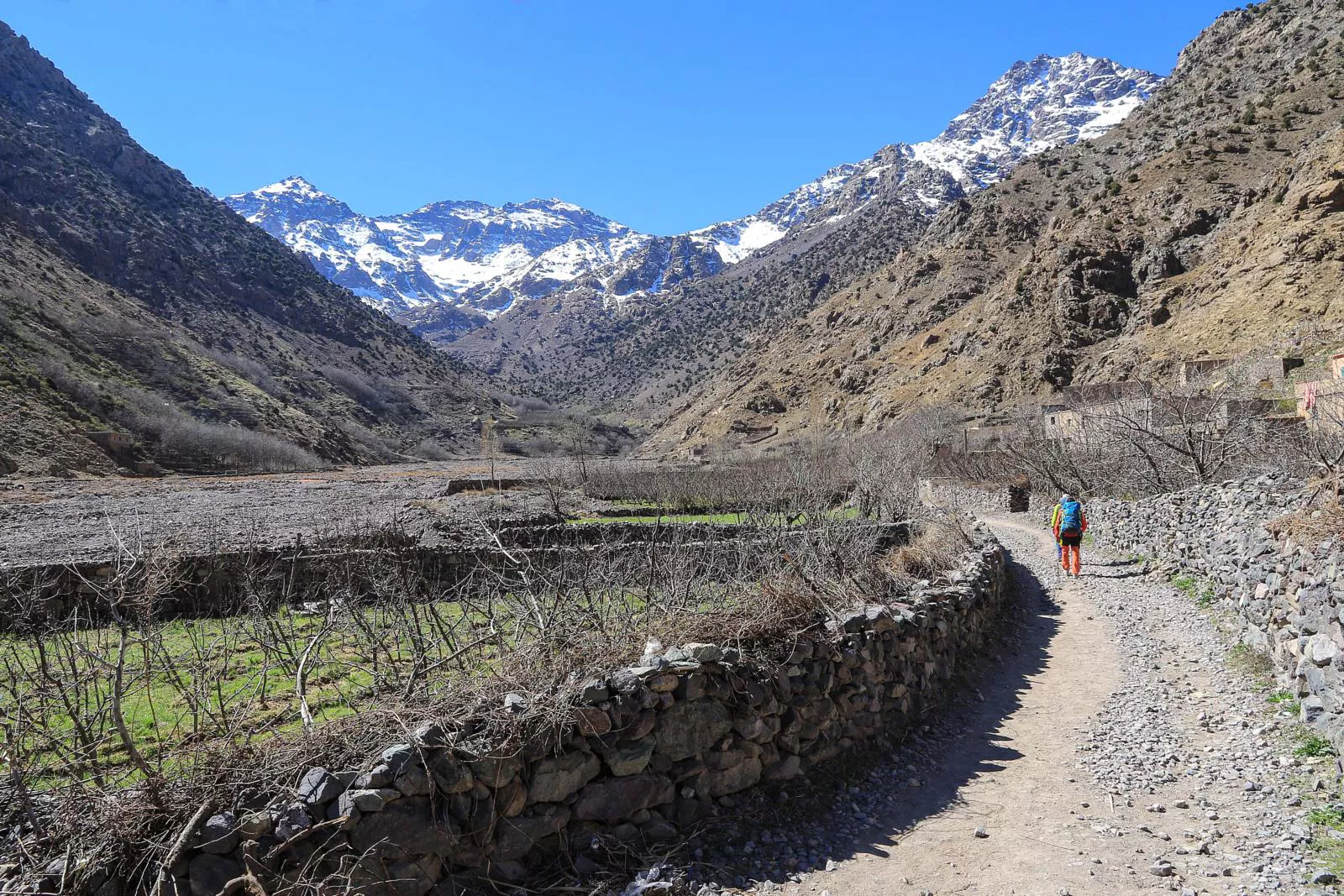 Cordillera del Atlas