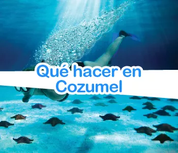 Qué hacer en Cozumel