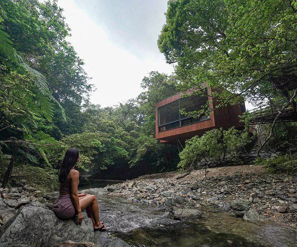 Casa de arbol de lujo en Japon