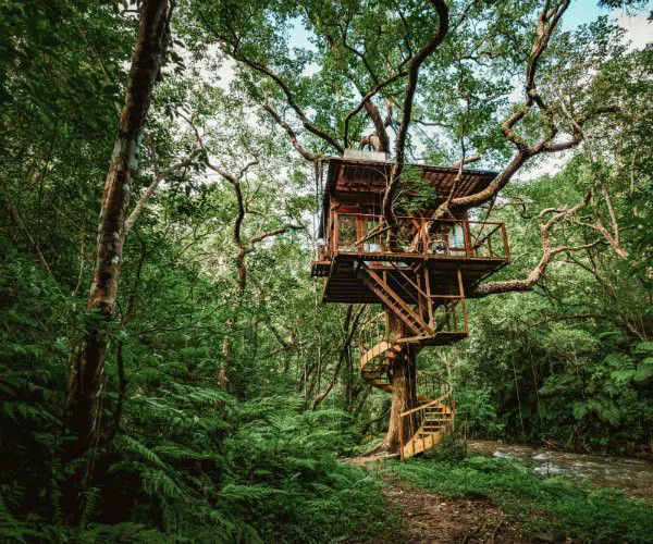 Casa de arbol de lujo en Japon