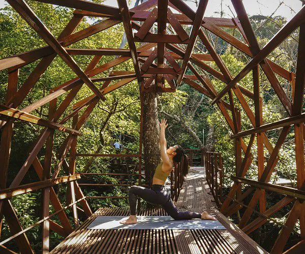 Casa de arbol de lujo en Japon