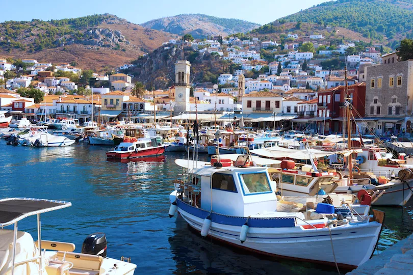 hydra