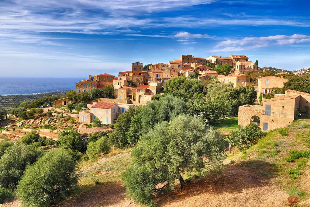 pigna