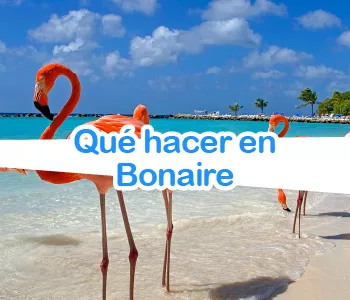 Que puedes hacer en Bonaire
