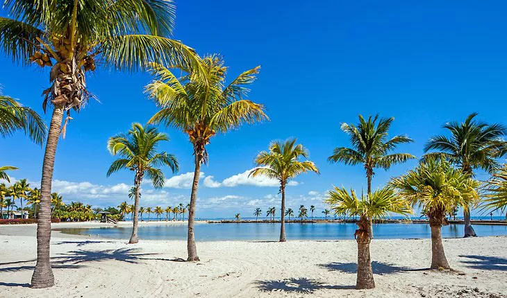 Parque Matheson Hammock