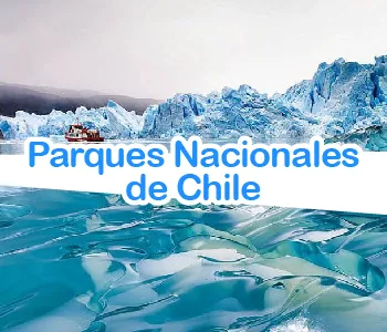 Cuáles son los Parques Nacionales mas impresionantes de Chile Cuáles son los Parques Nacionales mas impresionantes de Chile