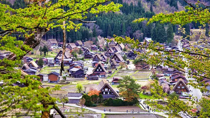 El pueblo de Ogimachi