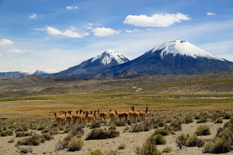 Parque Nacional Lauca