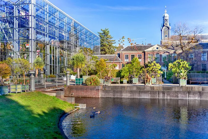 El Jardín Botánico