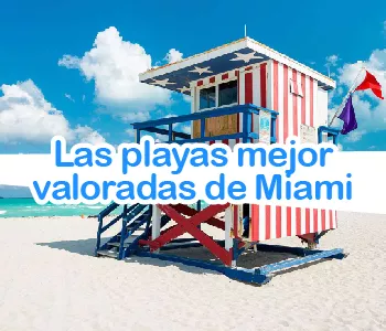 Las playas mejor valoradas de Miami Las playas mejor valoradas de Miami