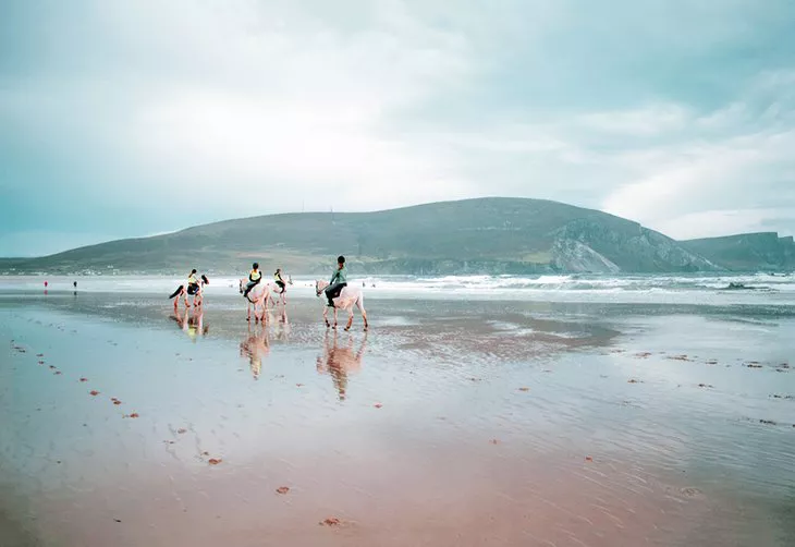 Caballos en la playa cerca de Westport