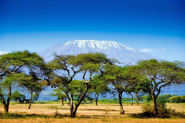 Parque Nacional de Amboseli con el monte Kilimanjaro en la distancia
