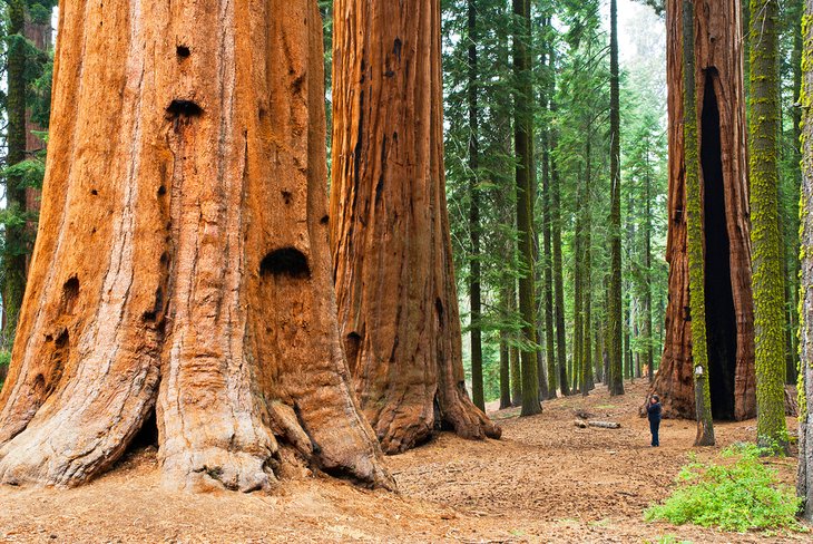 10 cosas que hacer en California
