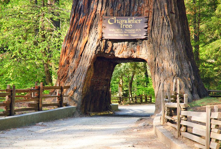 10 cosas que hacer en California