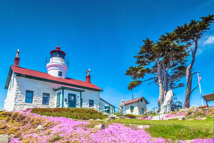 10 cosas que hacer en Crescent City, CA