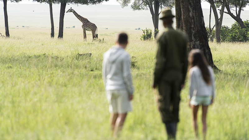  Por qué el turismo es vital para la fauna de Kenia