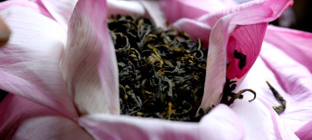 La cultura del té en Vietnam