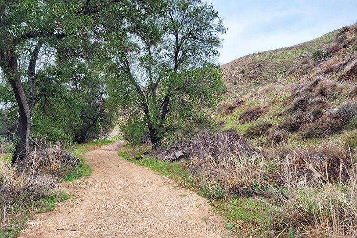 Las 12 mejores cosas que hacer en Santa Clarita, CA