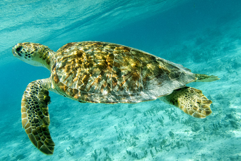 Los lugares más fotográficos del Caribe