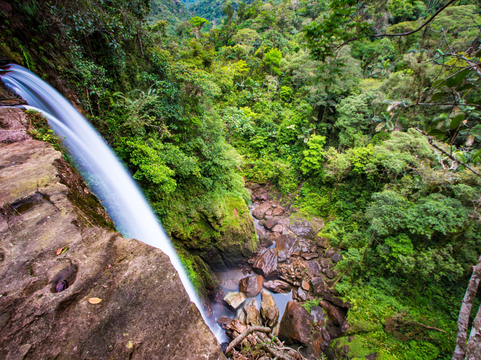 La mejor época para visitar Colombia | Cuándo ir y consejos de viaje