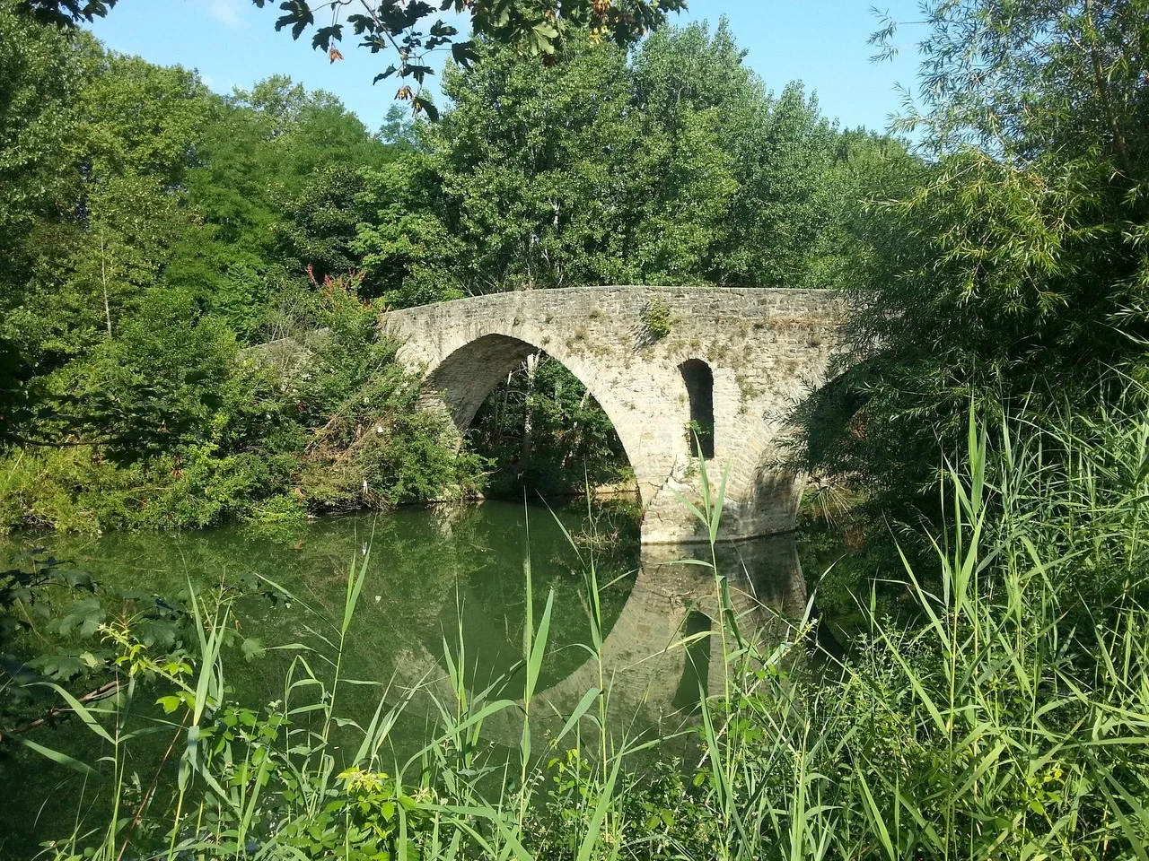 Un verano diferente: un verano en el Camino de Santiago
